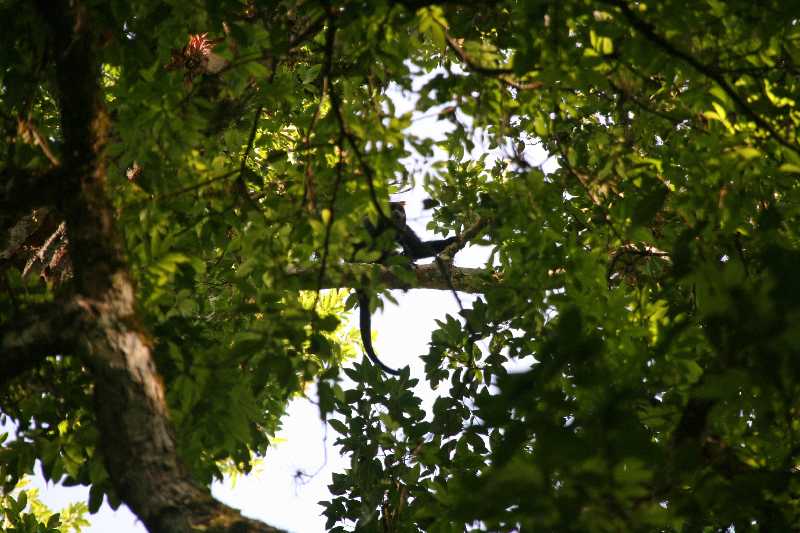 Mexico & Guatemala 2010 - 1059